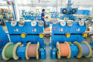 抢抓机遇赋能未来 浙江如何打开5G商用蓝海